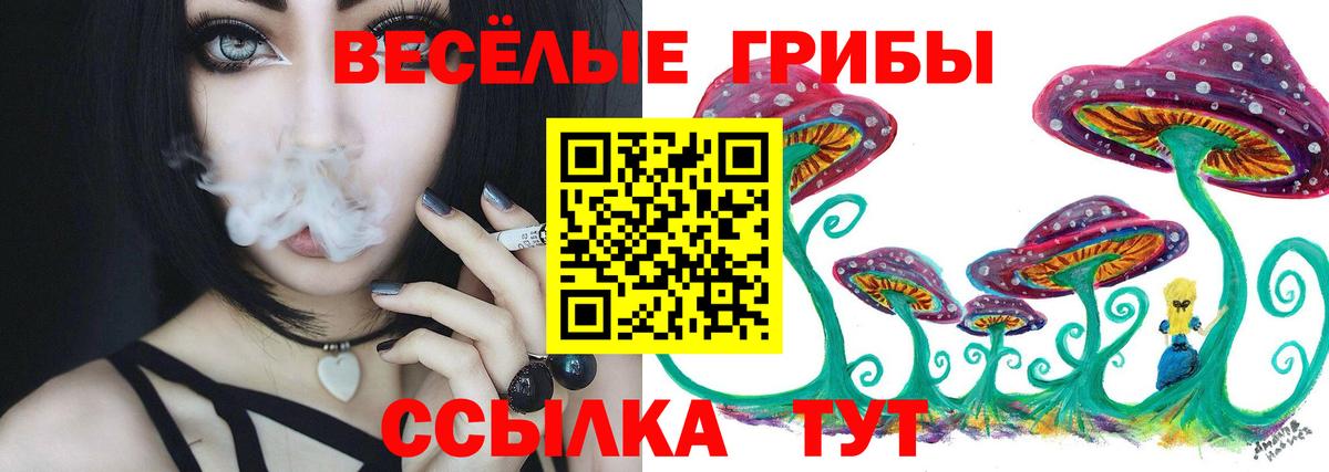 Махачкала  Псилоцибиновые грибы Cubensis  Вход с VPN 