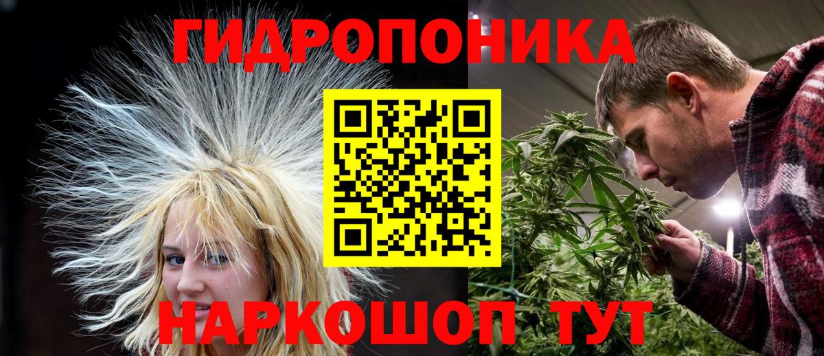 Бошки марихуана гибрид  Бошки марихуана индика  Вход с VPN  Махачкала 